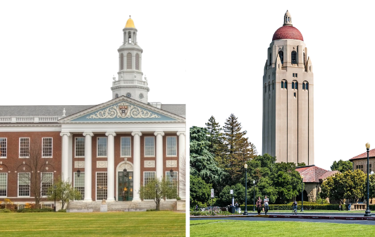 Program data showing financial risk, employment success, and earnings